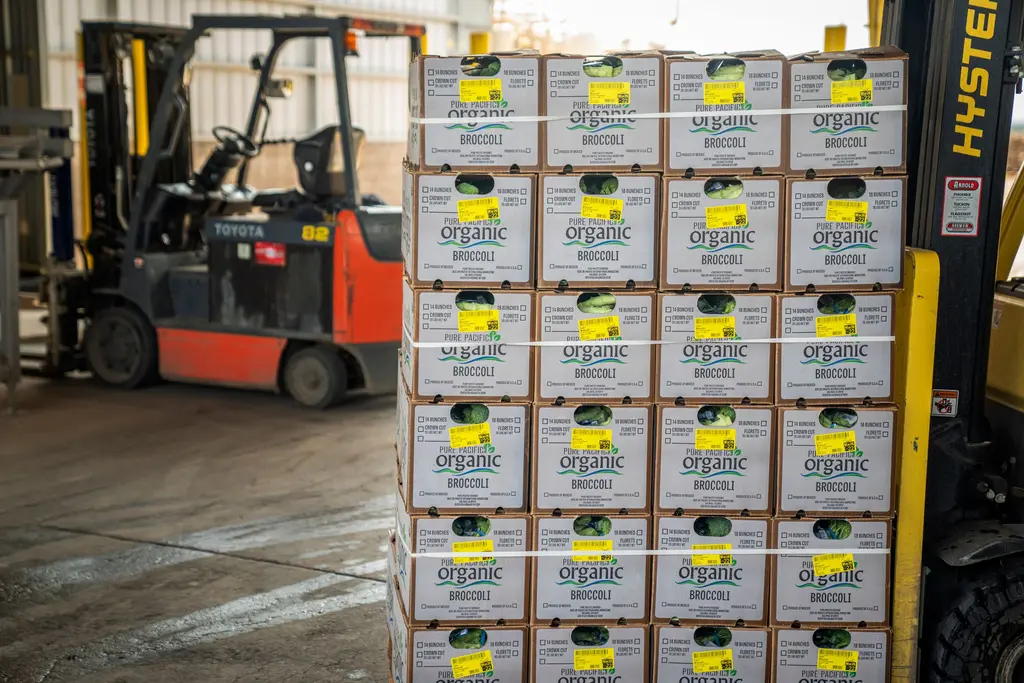 Depoda forkliftle taşınan, organik ibareli etiketleri görünen ürün kolileri